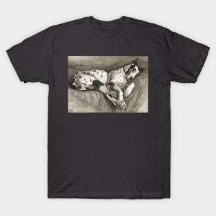 Sleeping Dog T-Shirt